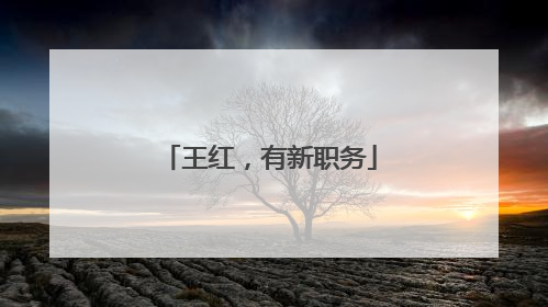 王红，有新职务