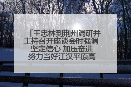 王忠林到荆州调研并主持召开座谈会时强调 坚定信心 加压奋进 努力当好江汉平原高质量发展排头兵