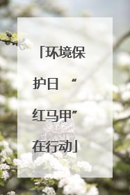 环境保护日 “红马甲”在行动