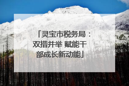 灵宝市税务局：双措并举 赋能干部成长新动能