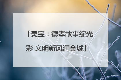 灵宝：德孝故事绽光彩 文明新风润金城