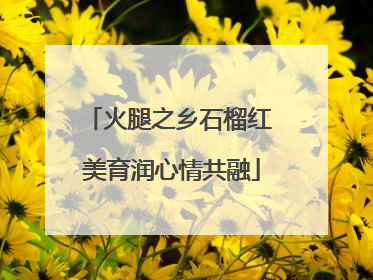 火腿之乡石榴红 美育润心情共融