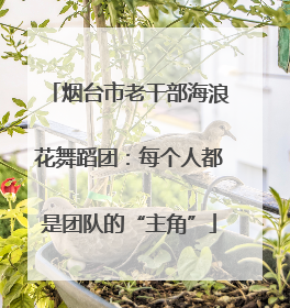烟台市老干部海浪花舞蹈团：每个人都是团队的“主角”