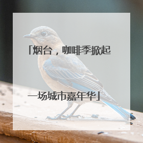 烟台，咖啡季掀起一场城市嘉年华