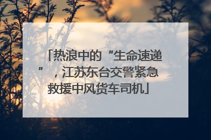 热浪中的“生命速递”，江苏东台交警紧急救援中风货车司机