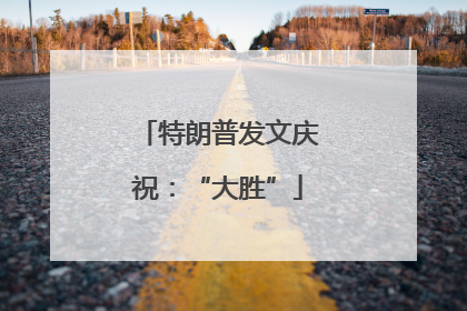 特朗普发文庆祝：“大胜”