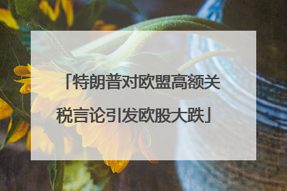 特朗普对欧盟高额关税言论引发欧股大跌