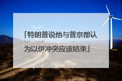 特朗普说他与普京都认为以伊冲突应该结束