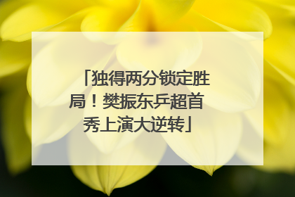独得两分锁定胜局！樊振东乒超首秀上演大逆转