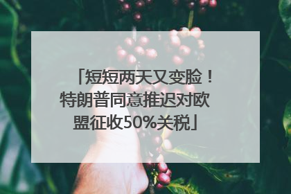 短短两天又变脸！特朗普同意推迟对欧盟征收50%关税