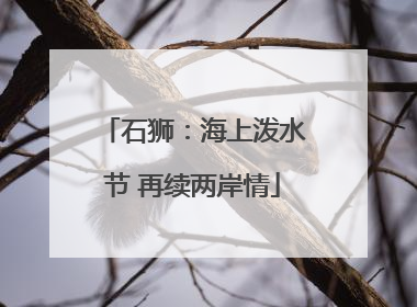石狮：海上泼水节 再续两岸情
