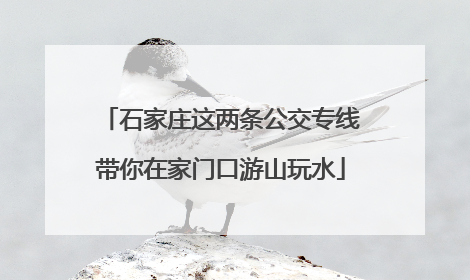 石家庄这两条公交专线带你在家门口游山玩水