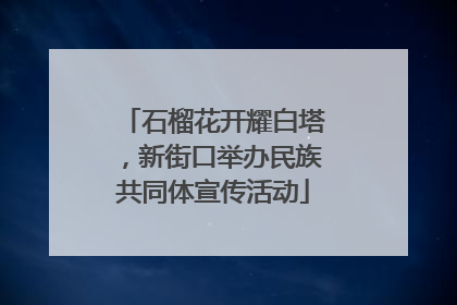 石榴花开耀白塔，新街口举办民族共同体宣传活动