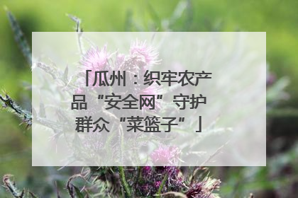 瓜州：织牢农产品“安全网”守护群众“菜篮子”