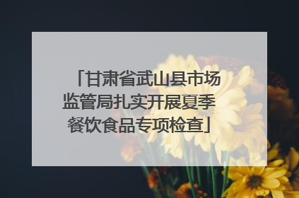 甘肃省武山县市场监管局扎实开展夏季餐饮食品专项检查