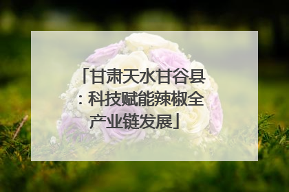 甘肃天水甘谷县：科技赋能辣椒全产业链发展