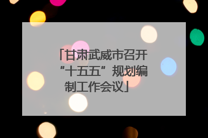 甘肃武威市召开“十五五”规划编制工作会议