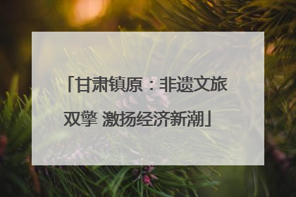 甘肃镇原：非遗文旅双擎 激扬经济新潮