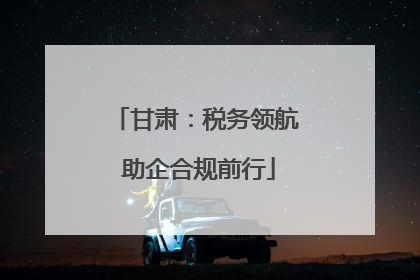 甘肃：税务领航 助企合规前行