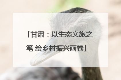 甘肃：以生态文旅之笔 绘乡村振兴画卷