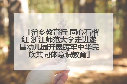 畲乡教育行 同心石榴红 浙江师范大学走进遂昌幼儿园开展铸牢中华民族共同体意识教育
