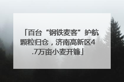 百台“钢铁麦客”护航颗粒归仓，济南高新区4.7万亩小麦开镰