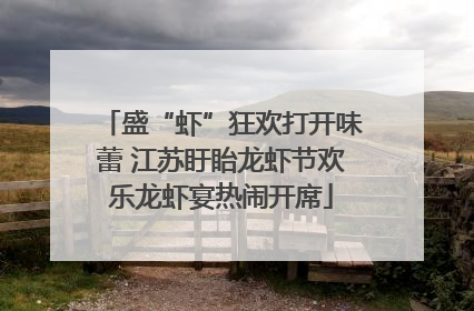 盛“虾”狂欢打开味蕾 江苏盱眙龙虾节欢乐龙虾宴热闹开席