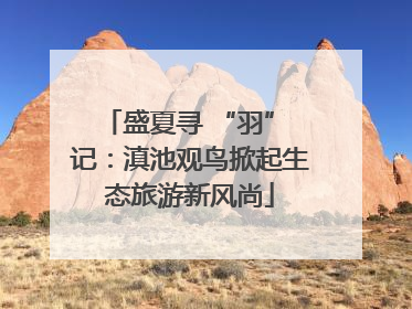 盛夏寻 “羽” 记：滇池观鸟掀起生态旅游新风尚