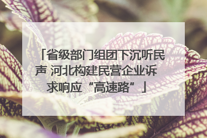 省级部门组团下沉听民声 河北构建民营企业诉求响应“高速路”