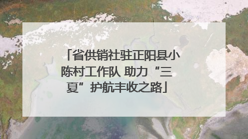 省供销社驻正阳县小陈村工作队 助力“三夏”护航丰收之路