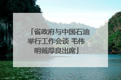 省政府与中国石油举行工作会谈 毛伟明戴厚良出席