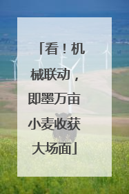 看！机械联动，即墨万亩小麦收获大场面