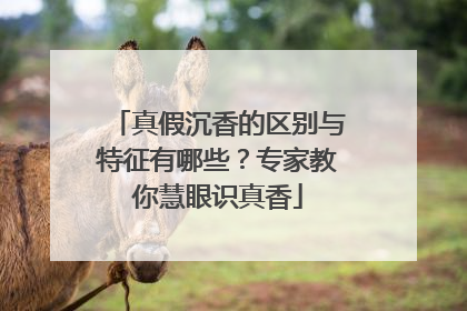 真假沉香的区别与特征有哪些？专家教你慧眼识真香