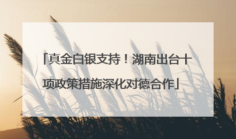 真金白银支持！湖南出台十项政策措施深化对德合作