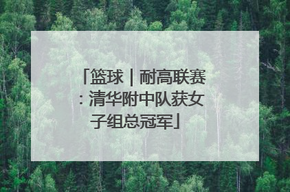 篮球｜耐高联赛：清华附中队获女子组总冠军