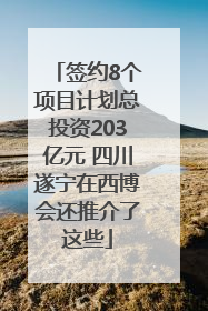 签约8个项目计划总投资203亿元 四川遂宁在西博会还推介了这些