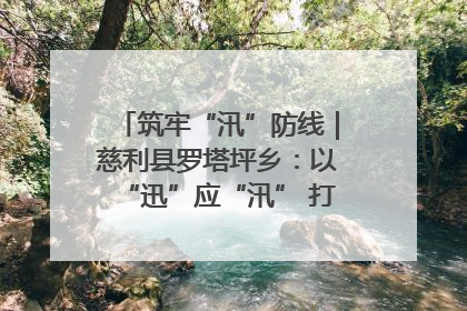 筑牢“汛”防线｜慈利县罗塔坪乡：以“迅”应“汛” 打赢暴雨防御战