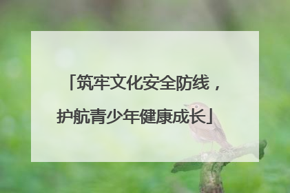 筑牢文化安全防线，护航青少年健康成长