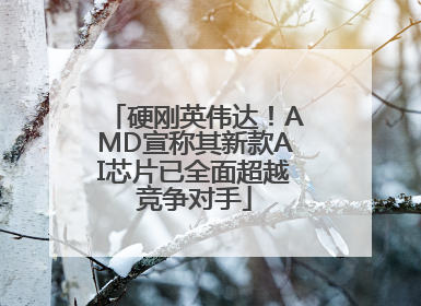 硬刚英伟达！AMD宣称其新款AI芯片已全面超越竞争对手