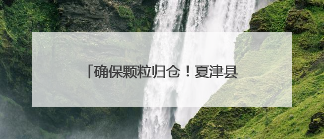 确保颗粒归仓！夏津县全域开放公共区域晒粮
