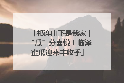 祁连山下是我家｜“瓜”分喜悦！临泽蜜瓜迎来丰收季