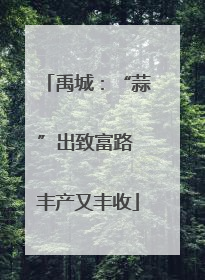 禹城：“蒜”出致富路 丰产又丰收