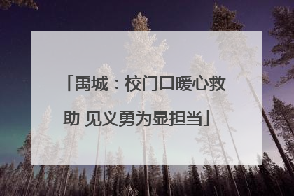 禹城：校门口暖心救助 见义勇为显担当