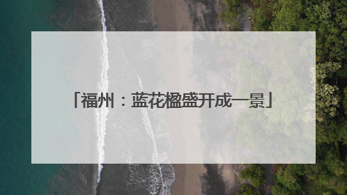 福州：蓝花楹盛开成一景
