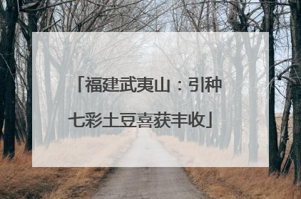 福建武夷山：引种七彩土豆喜获丰收