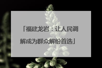 福建龙岩：让人民调解成为群众解纷首选
