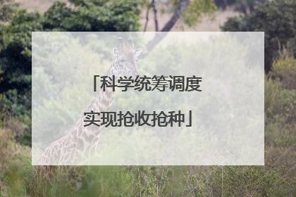 科学统筹调度实现抢收抢种