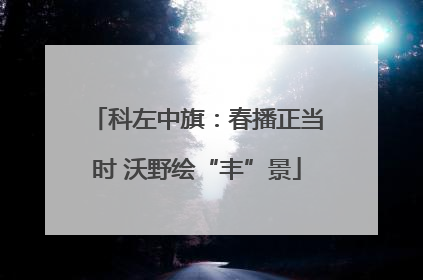 科左中旗：春播正当时 沃野绘“丰”景
