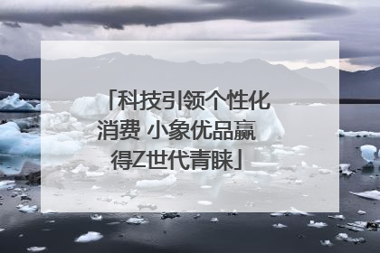 科技引领个性化消费 小象优品赢得Z世代青睐
