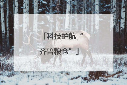 科技护航“齐鲁粮仓”